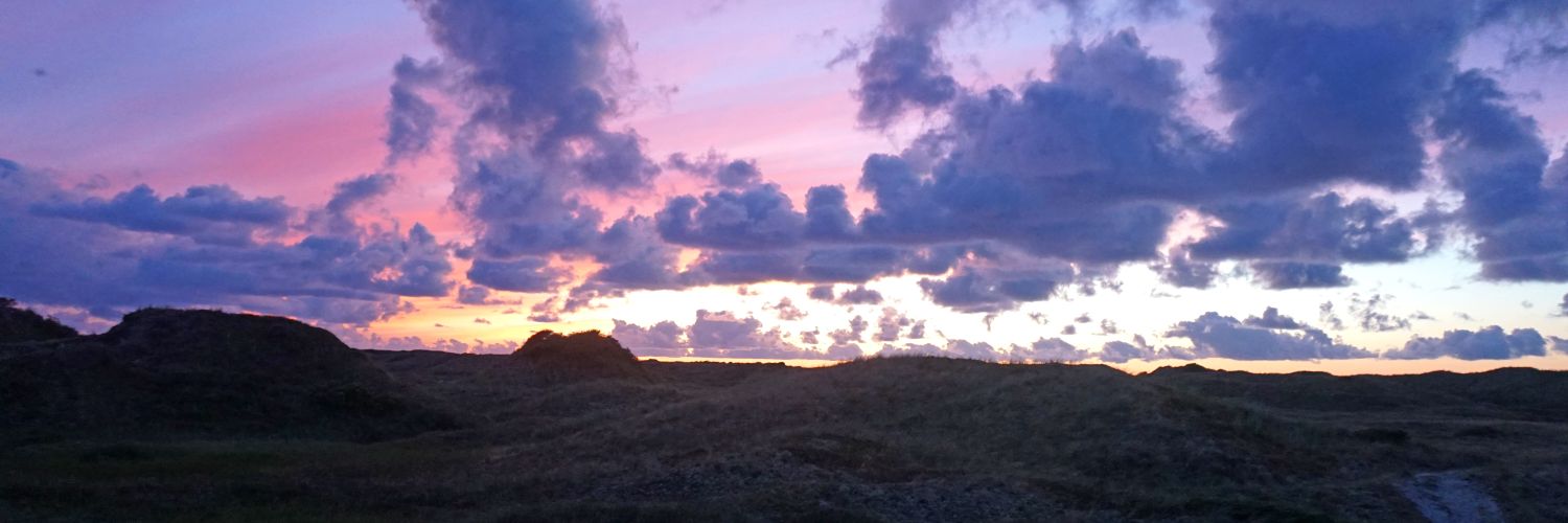 maxmuhl's profile banner image