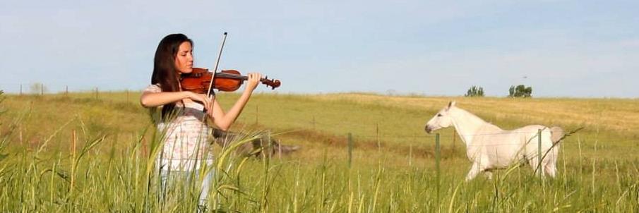 LauraCGViolin's profile banner image