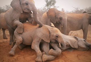kwarundu's profile banner image