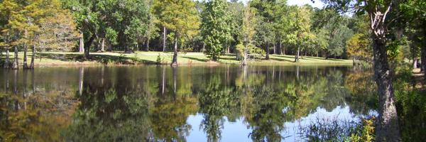 BCCommission Profile Banner