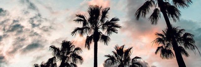 Georgialeesmith's profile banner image