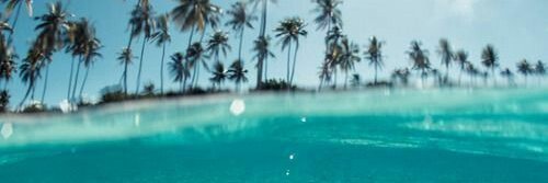fernandes_jesss's profile banner image