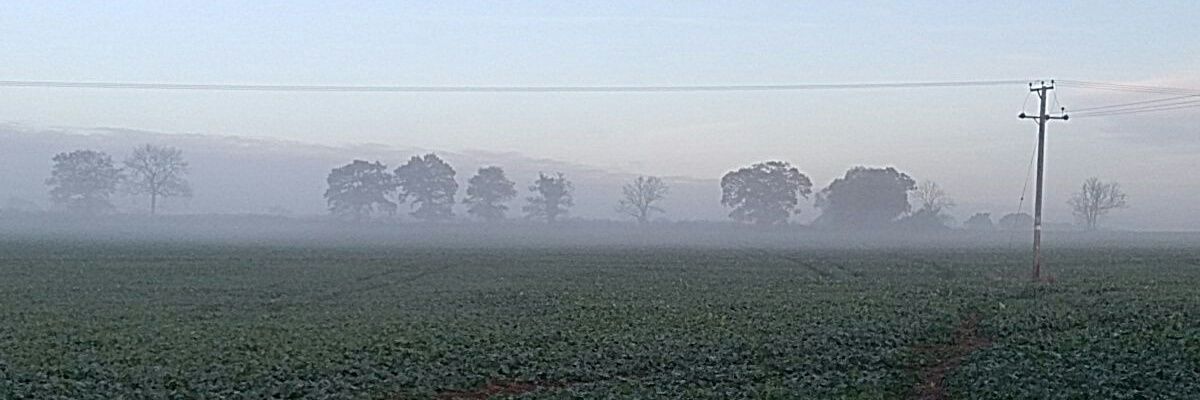 Bobby Bennett banner