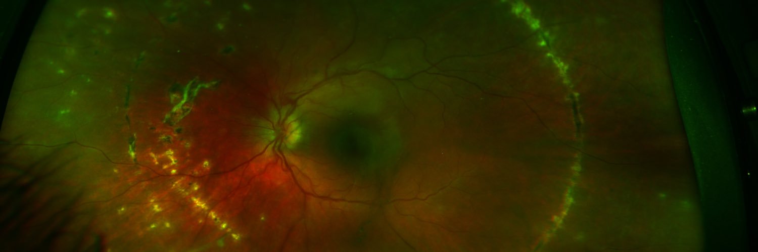 Mr Harry Petrushkin banner