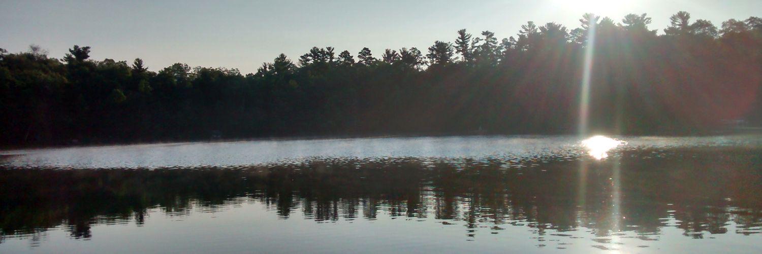 polardog88's profile banner image