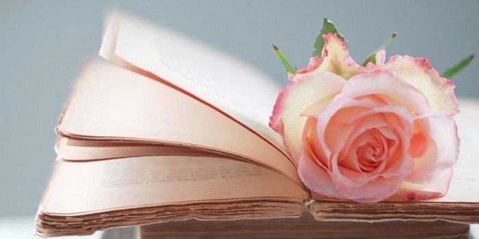 pramisavitri's profile banner image