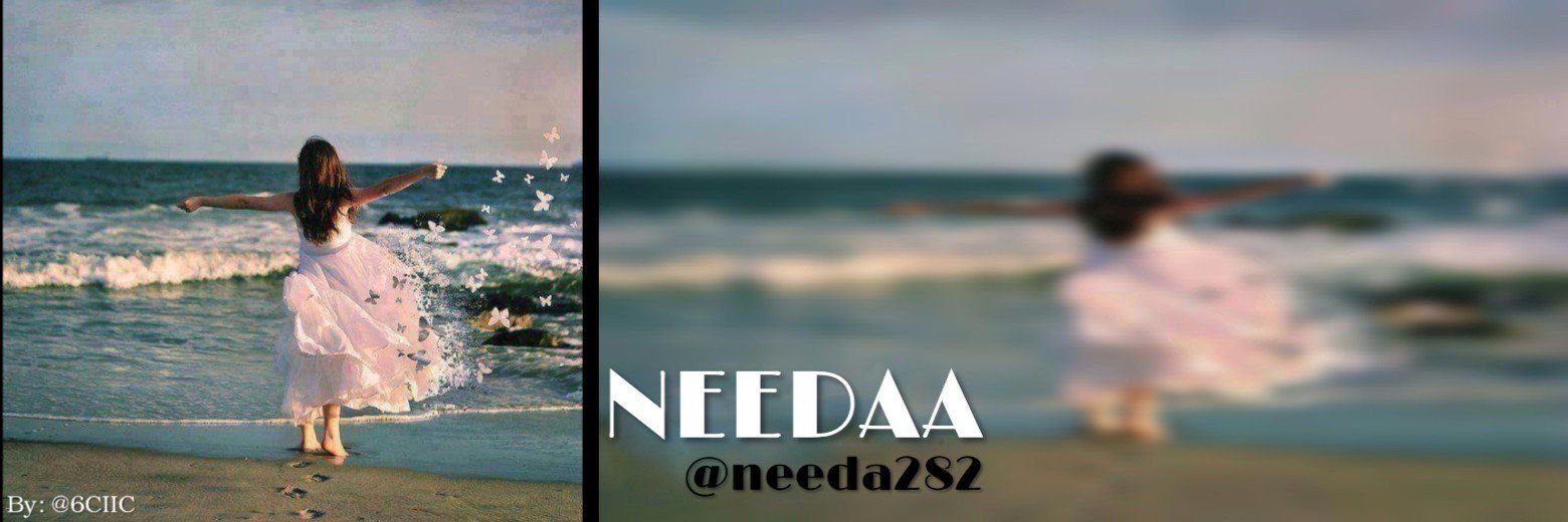 NEeDaA banner