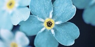 wangyubode's profile banner image