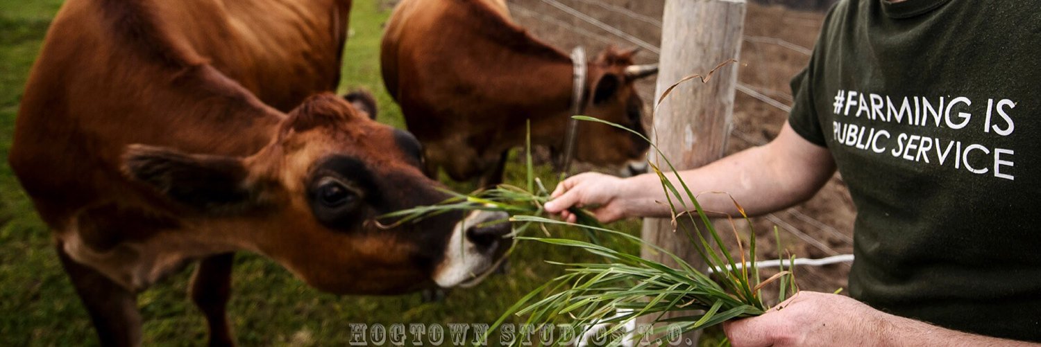 chefgstewart's profile banner image