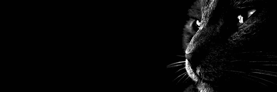 udar_ejuke's profile banner image