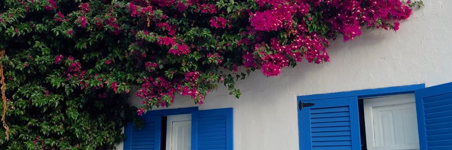 rosariotdl's profile banner image