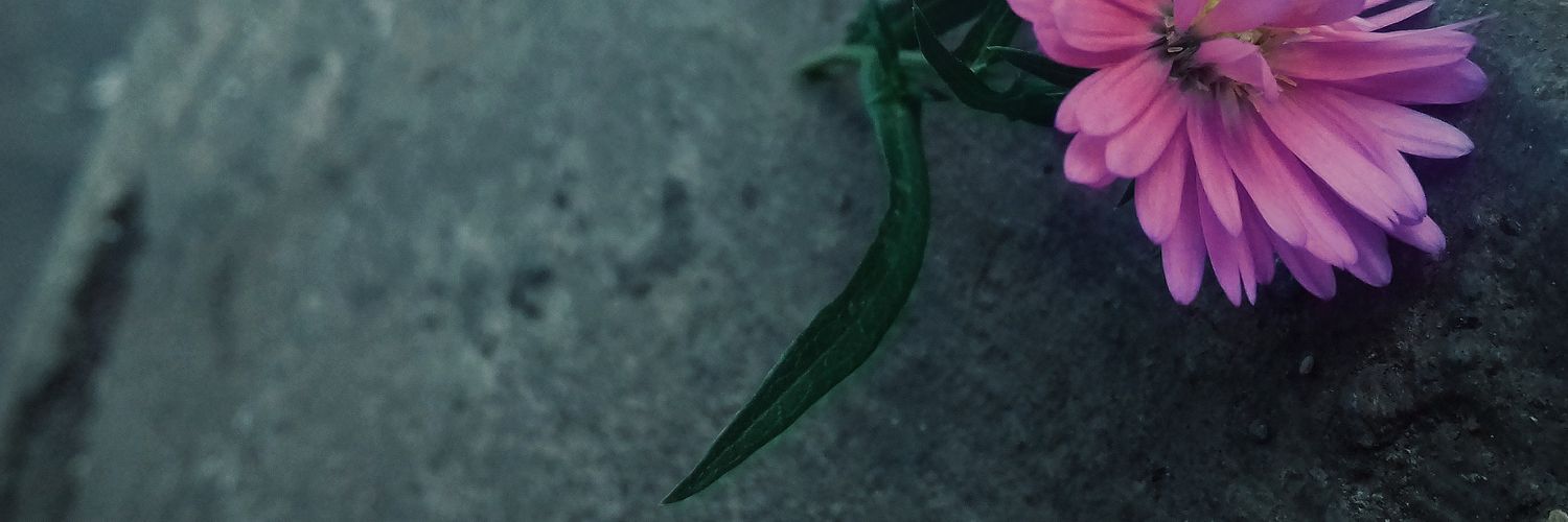 amsest's profile banner image