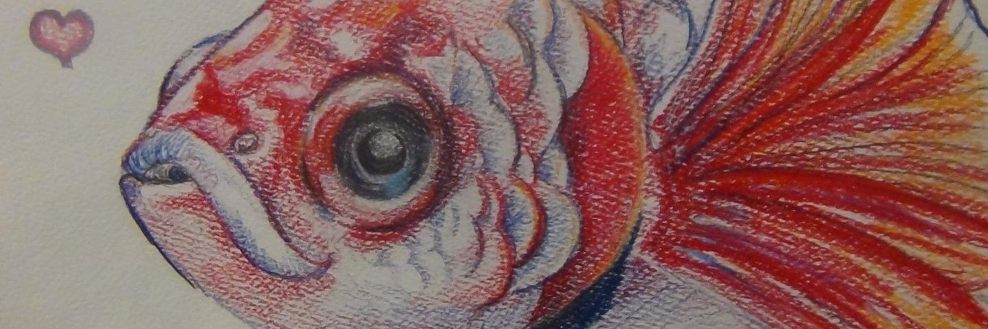 CiddianKat's profile banner image