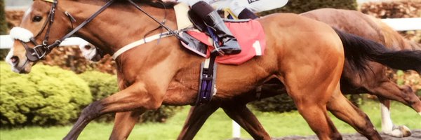JuliaFeilden Profile Banner