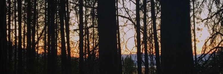 PupTofer's profile banner image