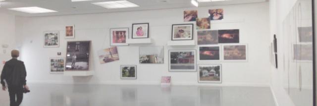 stargazernarry's profile banner image