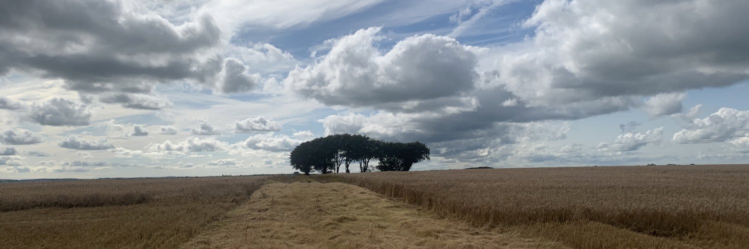 Lana O'Connor banner