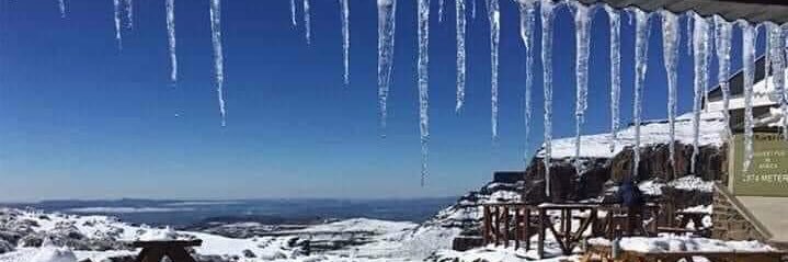 Rapelang Radebe banner