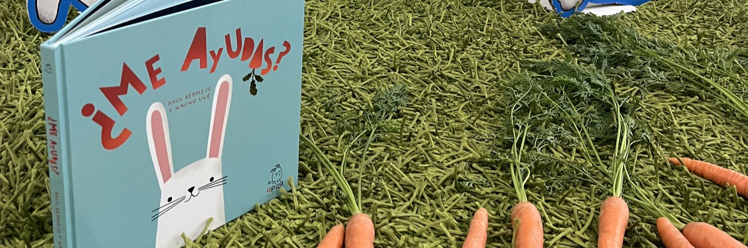 RAÚL BERMEJO banner