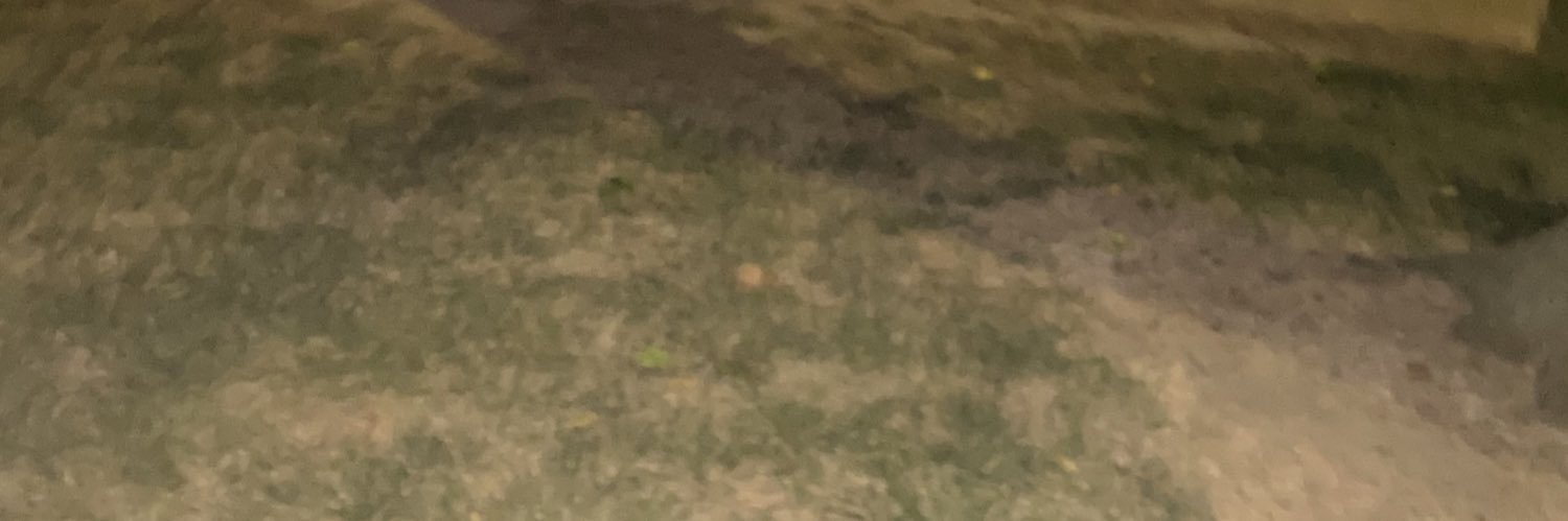 🤷‍♂️ banner