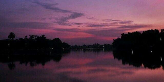 weebee ringgo banner