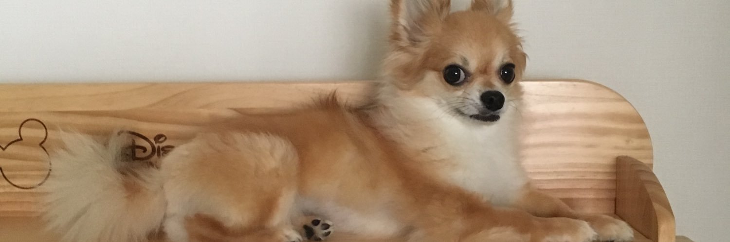 pyqstitch's profile banner image