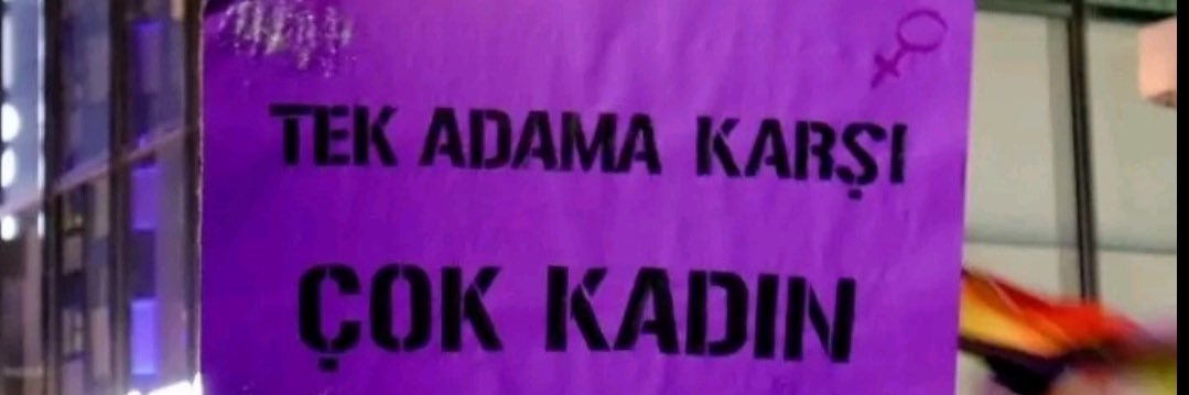 ece🐚 banner