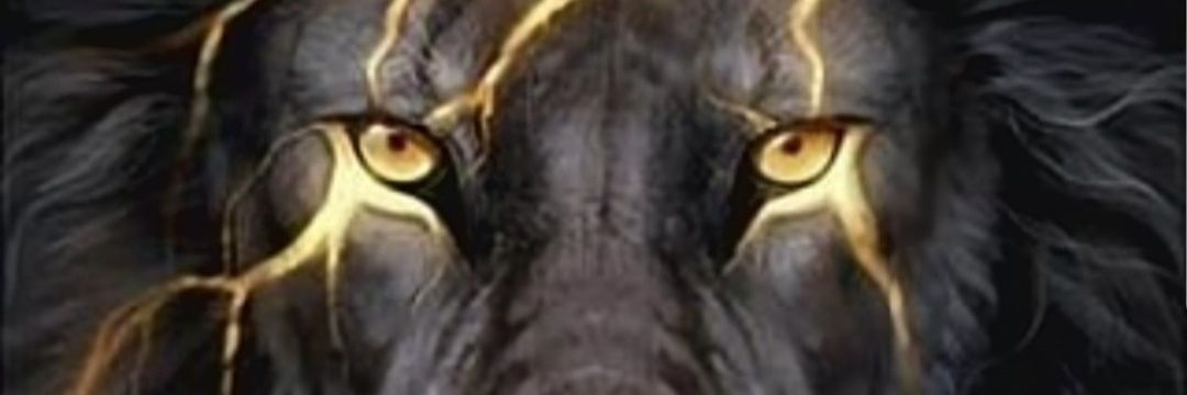 Tigga1181's profile banner image