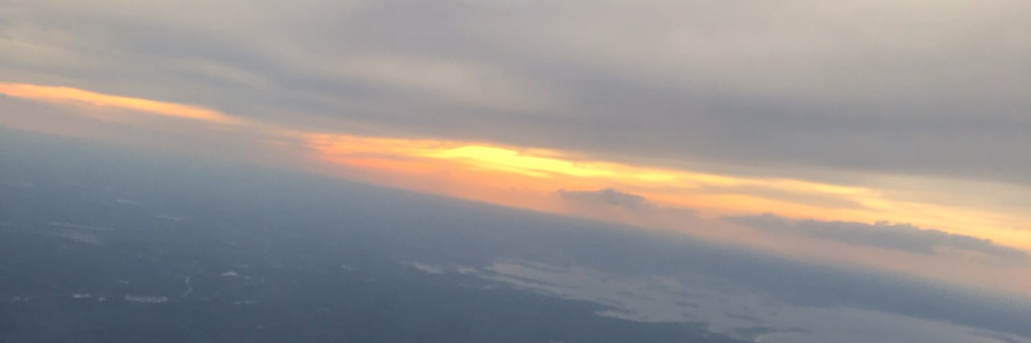 Alyssa banner