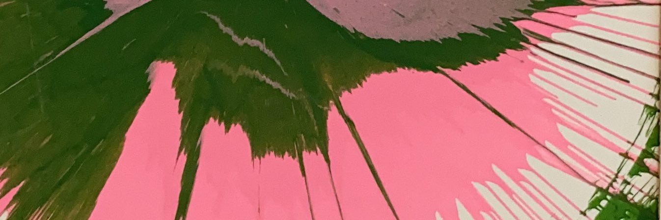 Shana Curtis (she/her) banner