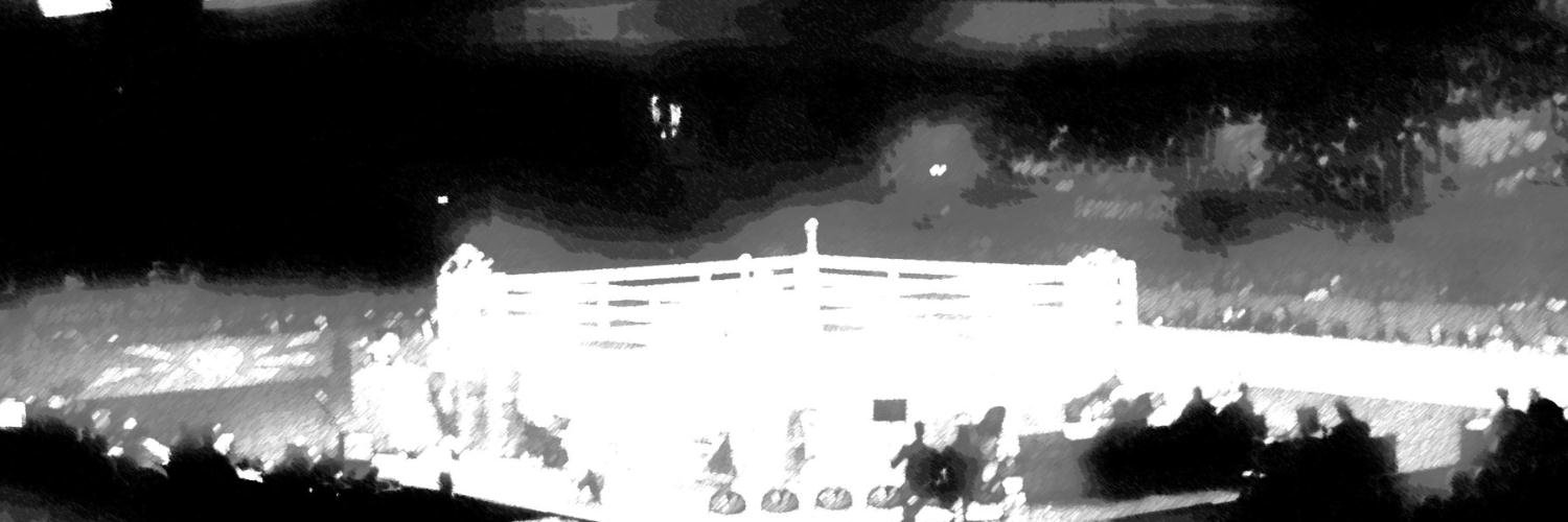 Bastión Boxeo banner