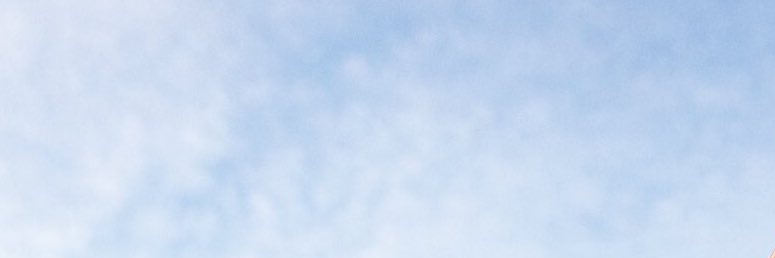 cococesese's profile banner image