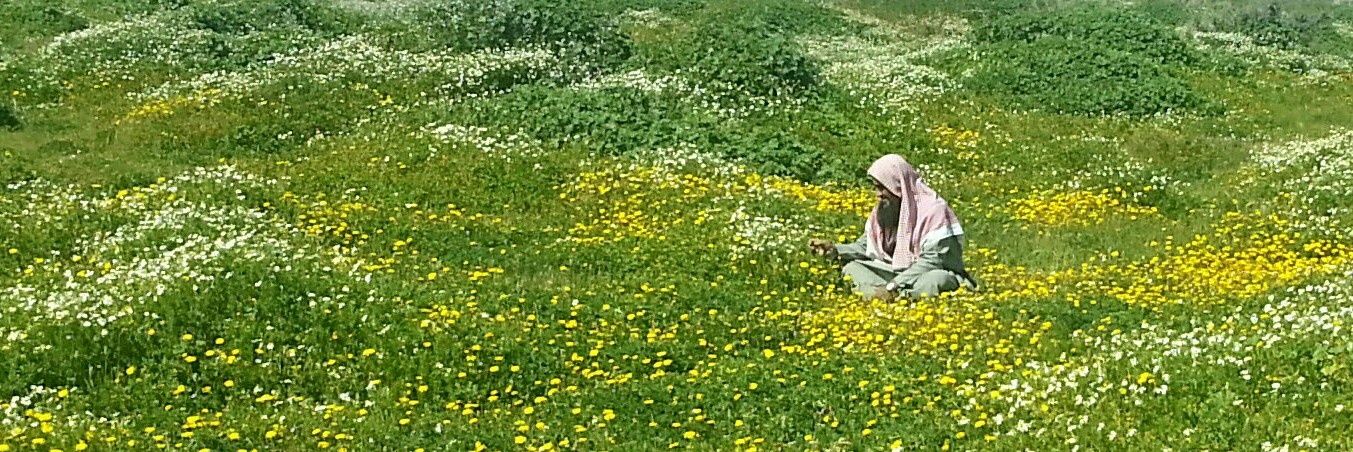 عبدالرحمن بن صالح السديس banner