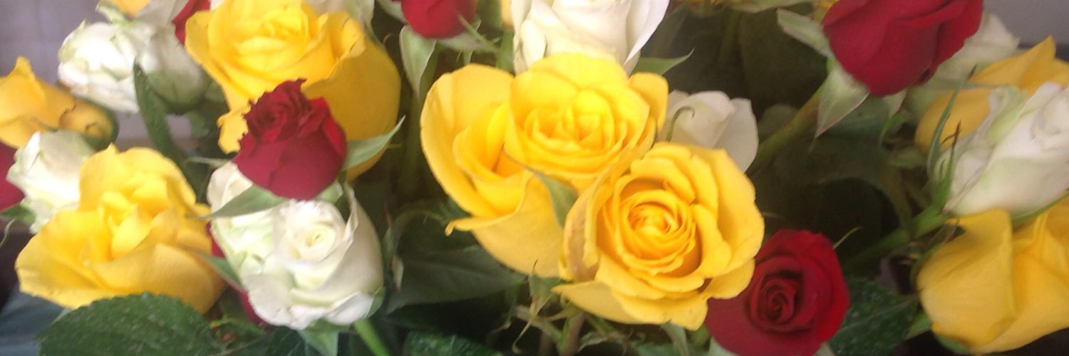 vvsemu's profile banner image