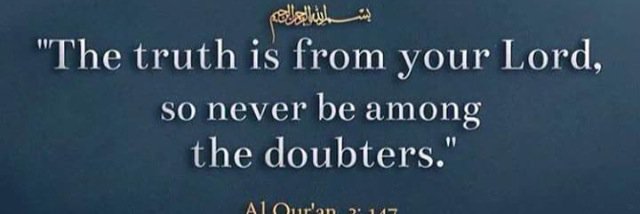 fazilaabbas's profile banner image