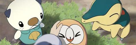 pokemon lover's banner