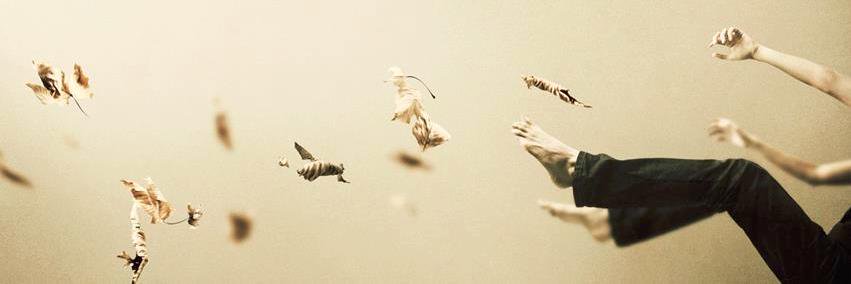 Tereza's banner