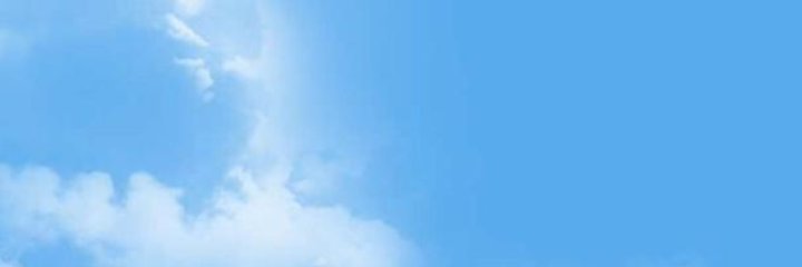 ImTheDolphin's profile banner image