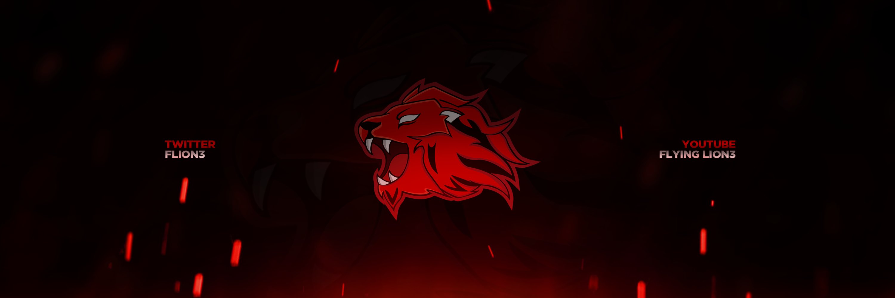 FlionTD's profile banner image