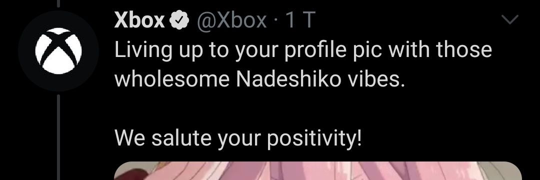 Rade__Cat's profile banner image
