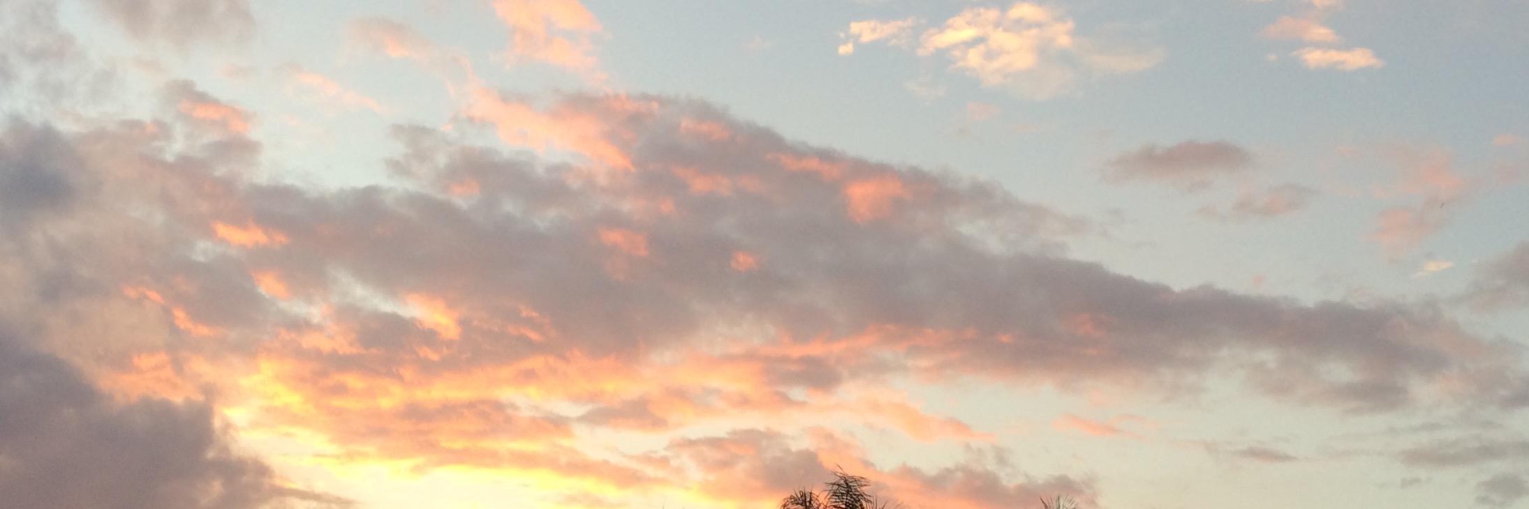 Cameron Crowe's banner