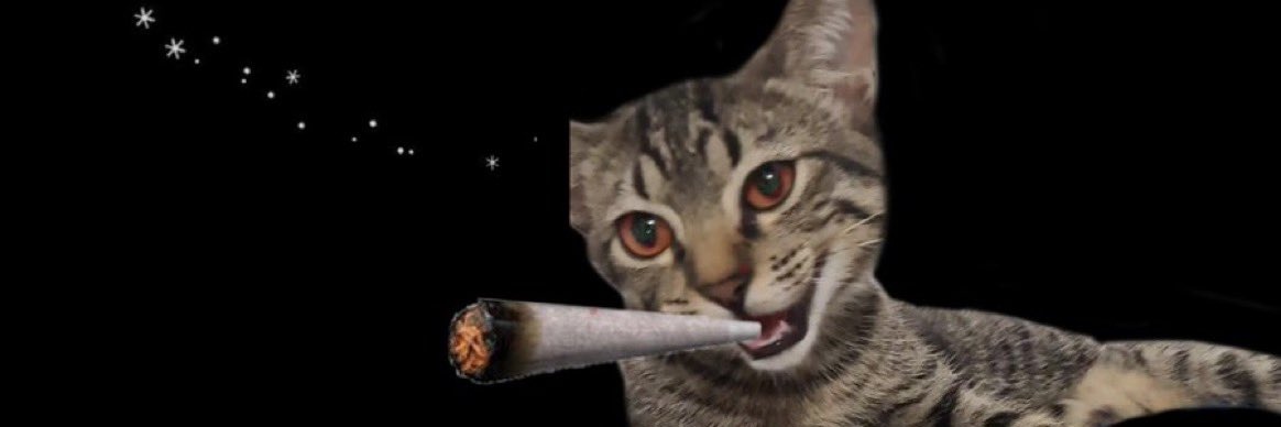 Julian_Arrow's profile banner image
