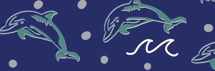 duryeaschool's profile banner image