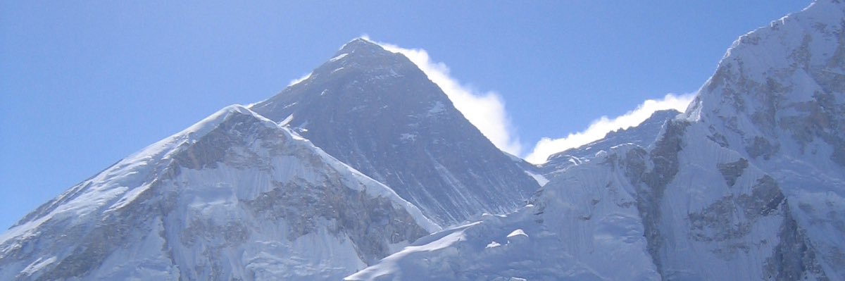 pulpapple's profile banner image