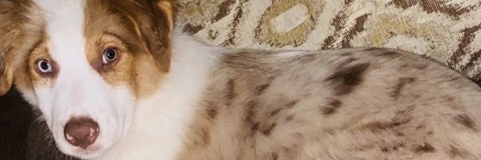 _tclos2_'s profile banner image