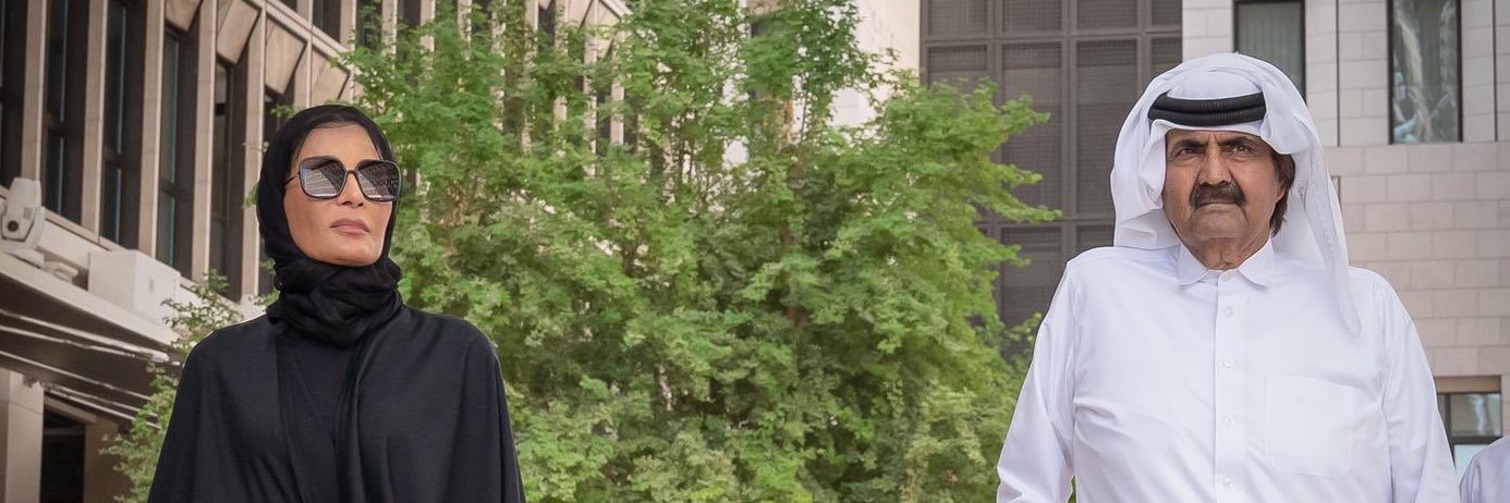 iMeshaxl's profile banner image