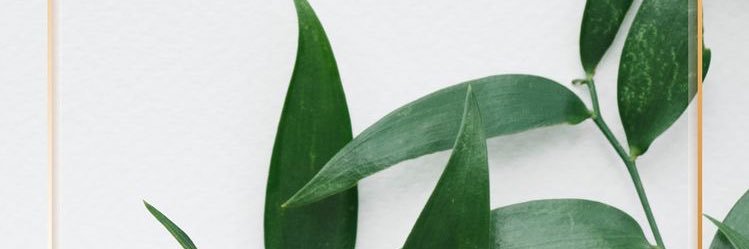 _felixluis's profile banner image