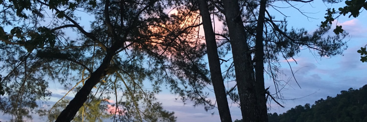 izzyeevans's profile banner image
