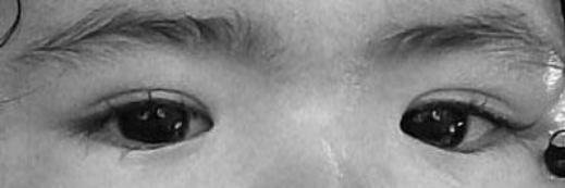 Enrique Rivero banner