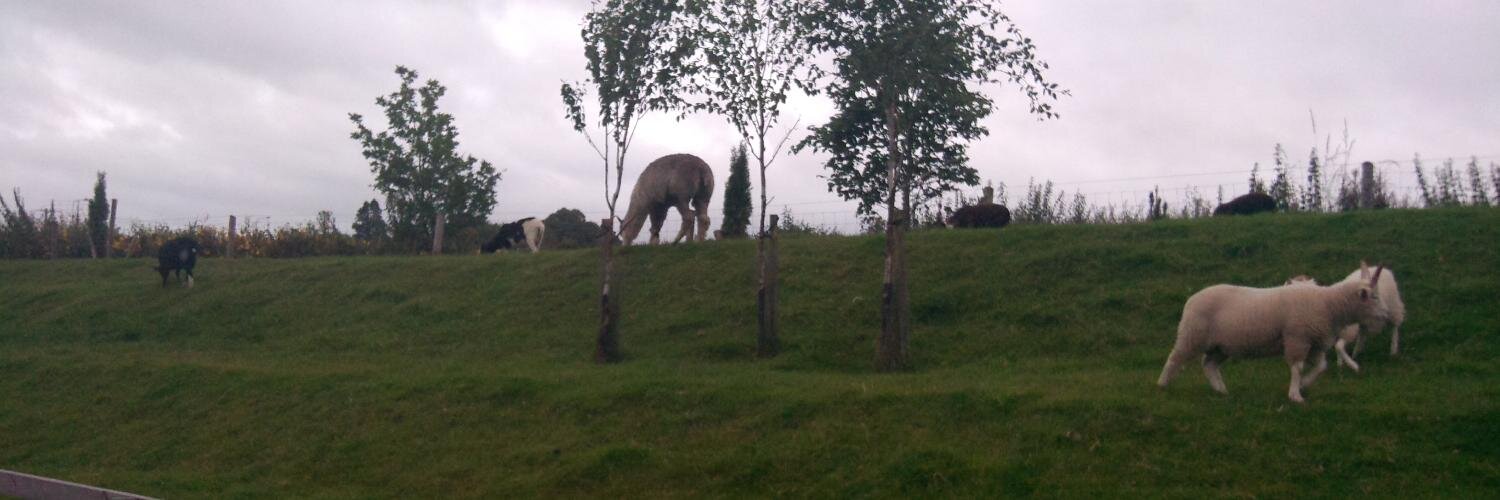 Alexey Weiss, MD 🇮🇱🇺🇦 banner